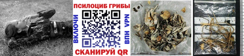 Псилоцибиновые грибы мухоморы  наркота  Зеленогорск 