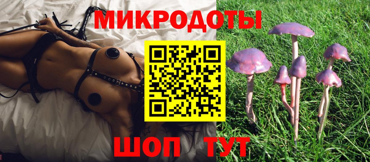Галлюциногенные грибы мухоморы  Вход с VPN  Зеленогорск  Галлюциногенные грибы Psilocybine cubensis 