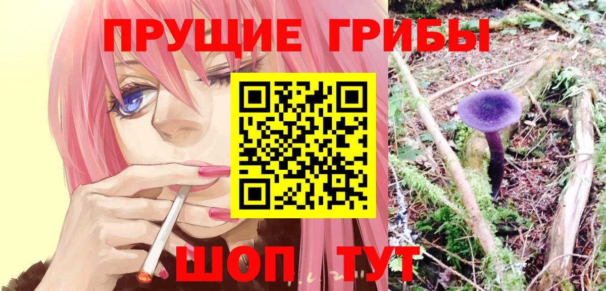 Псилоцибиновые грибы прущие грибы Зеленогорск